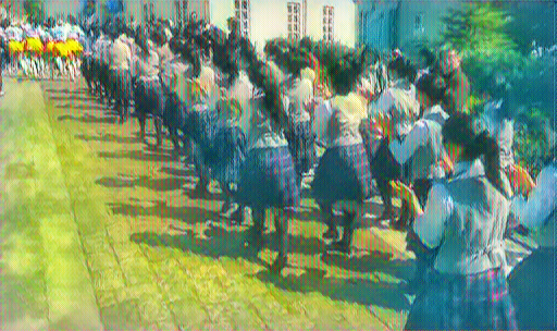 京都橘高校吹奏楽部｜ブルーメンパレードで新入部員達を見つけてみる
